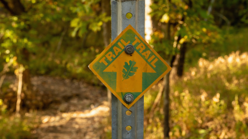 Discover Tulsa's best-kept outdoor secrets! From Turkey Mountain's 50+ miles of trails to ancient cedar forests, explore hidden gems locals love.